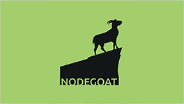 Nodegoat